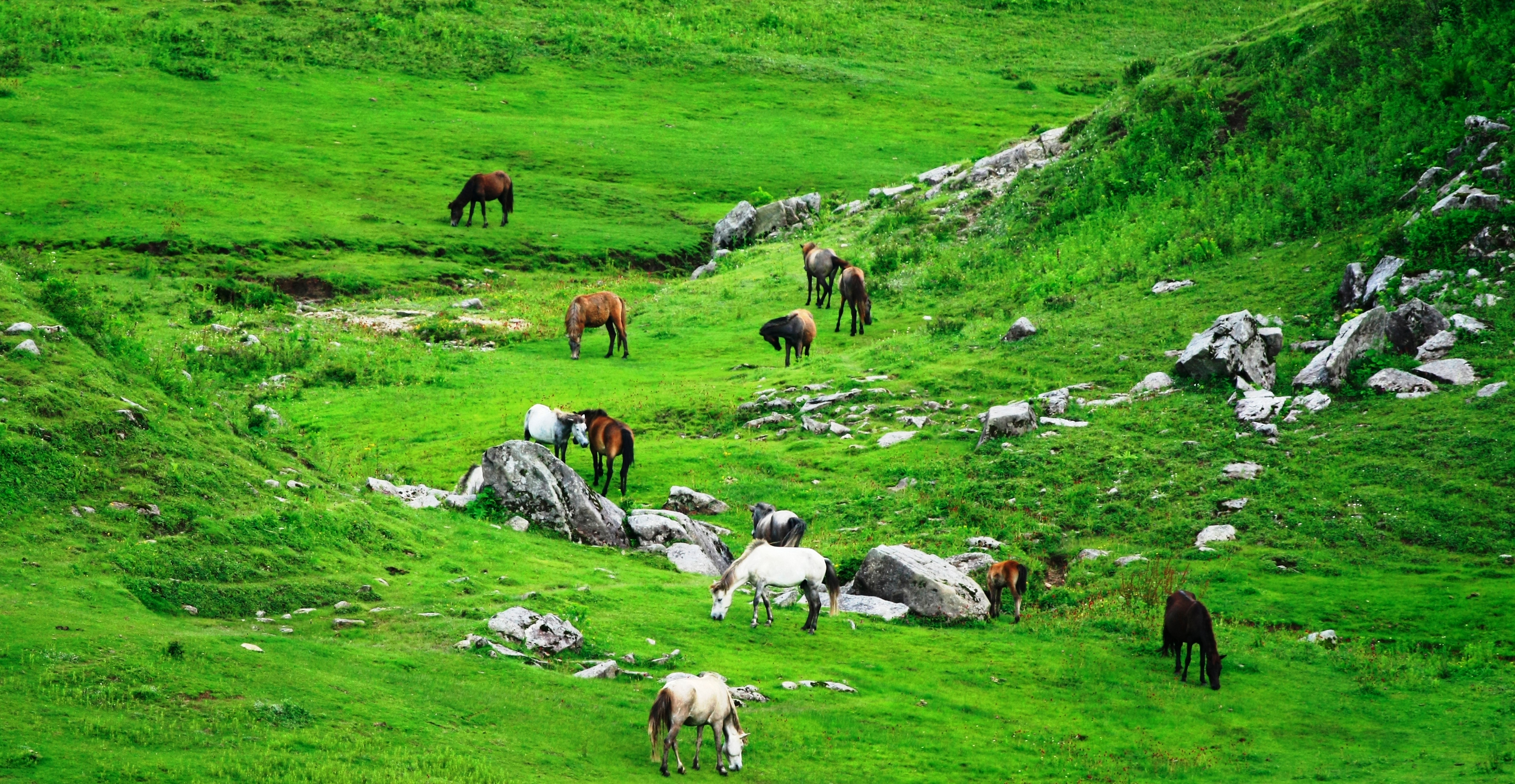 Khaptad National Park Trek
