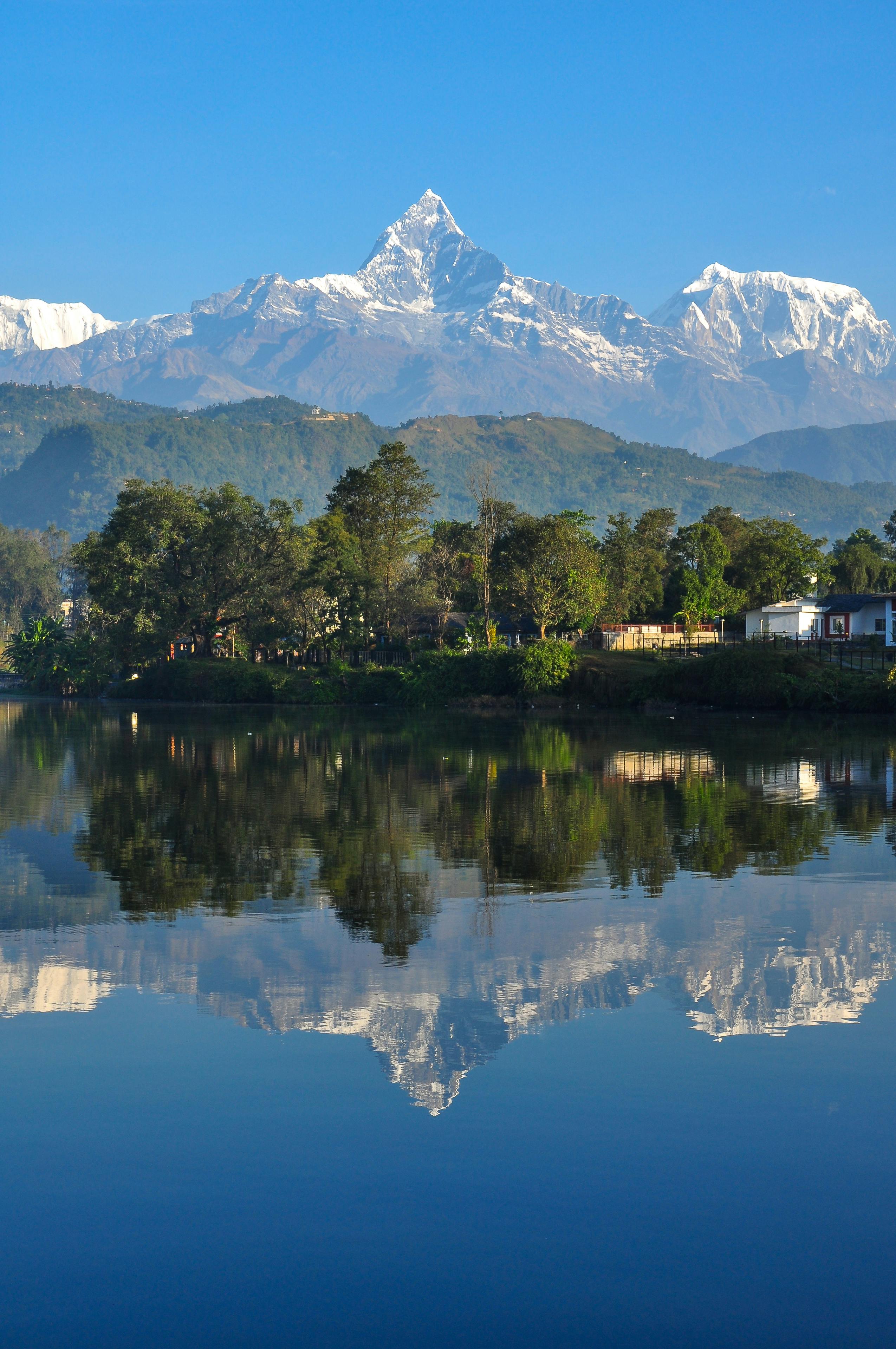 Pokhara, Chitwan 3 Days and 2 Night Tour - Tour gallery image showing Chitwan