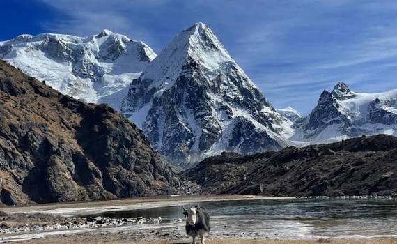 Kanchenjunga Circuit Trek in Kanchenjunga - Nepal tour
