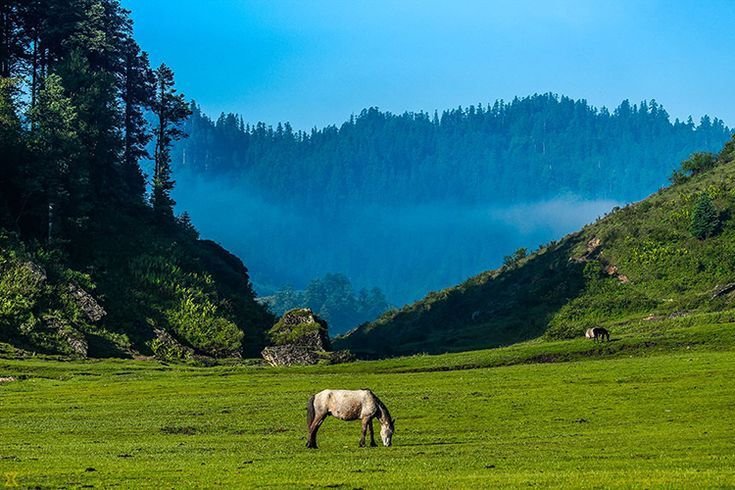 Khaptad National Park Trek in Khaptad National Park - Nepal tour