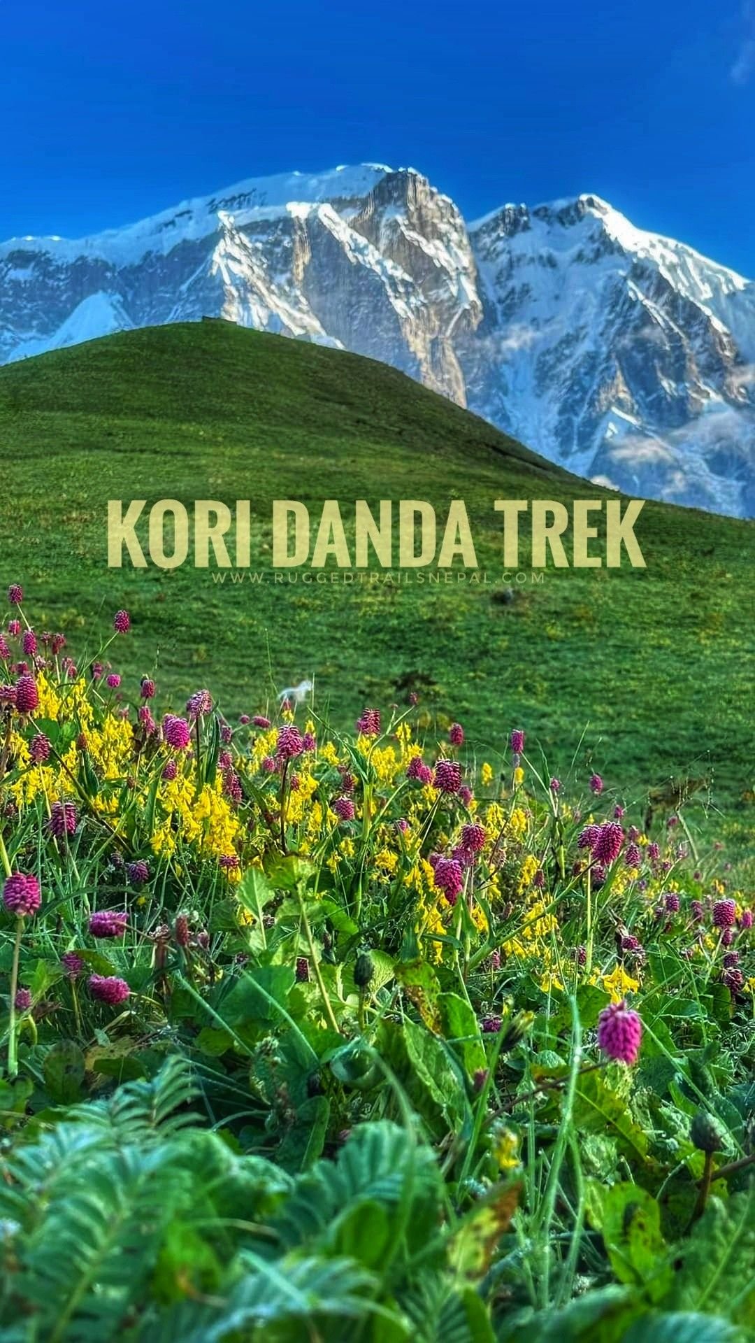 Kori Trek in Kori - Nepal tour